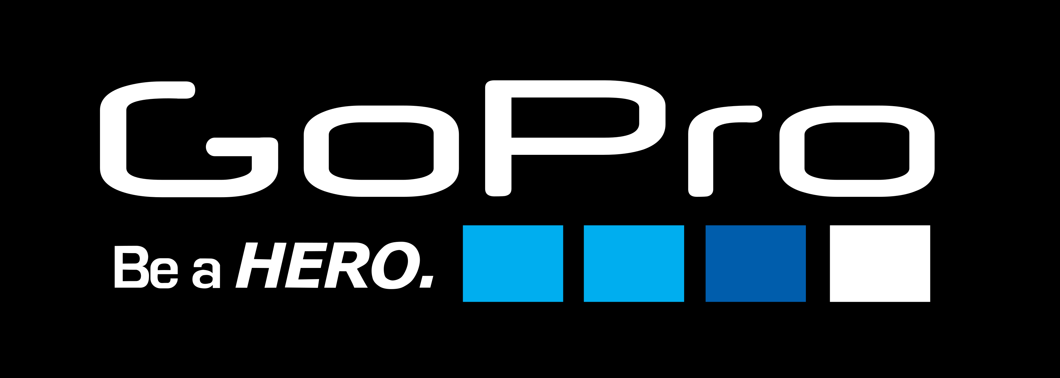 GoPro Logo.