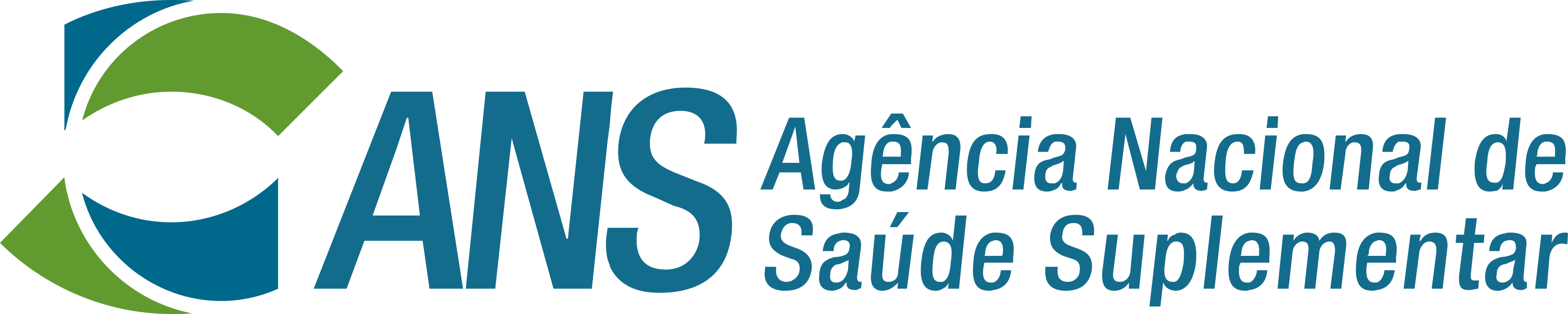 ANS Logo.