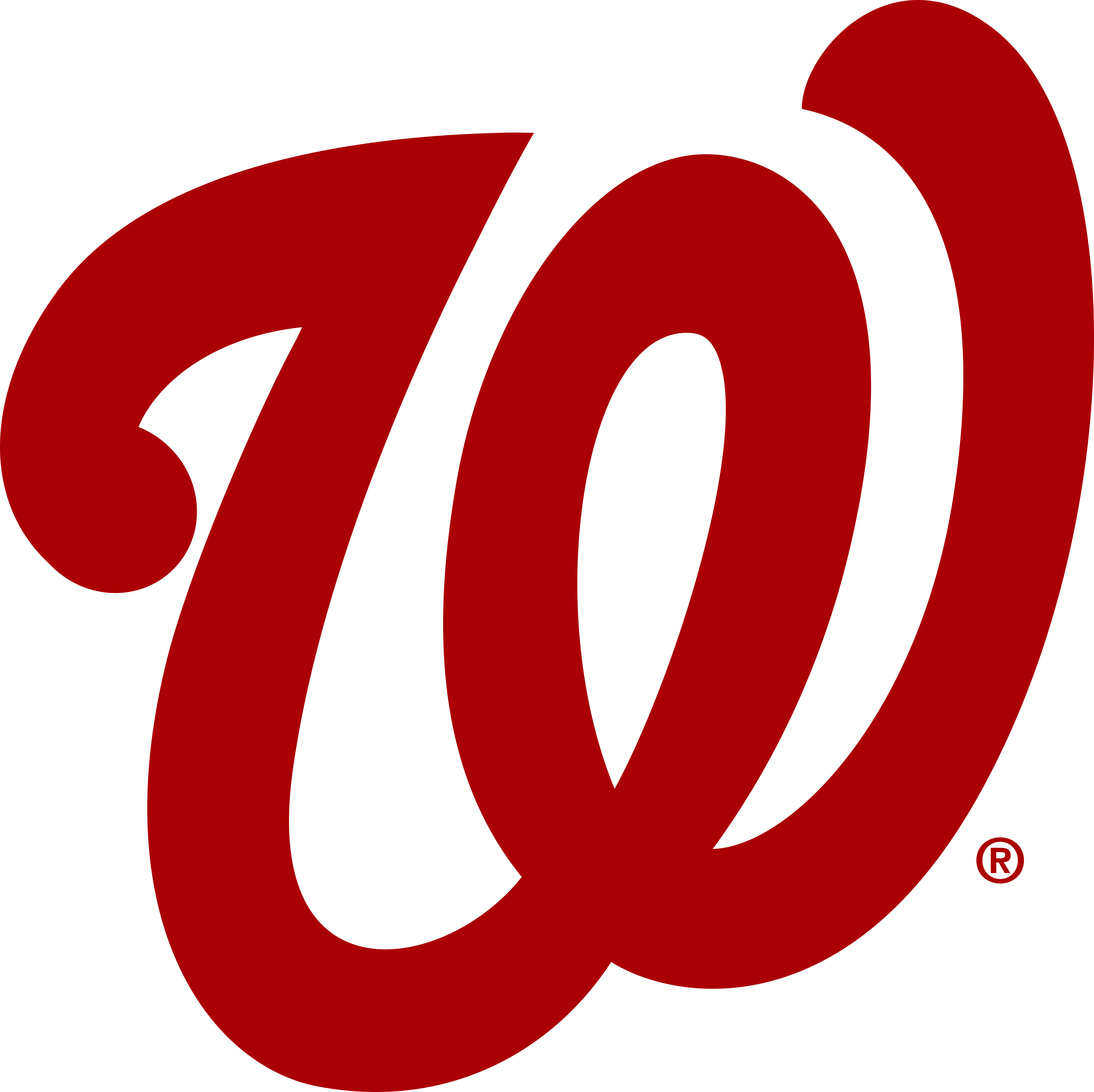 Washington Nationals Logo.