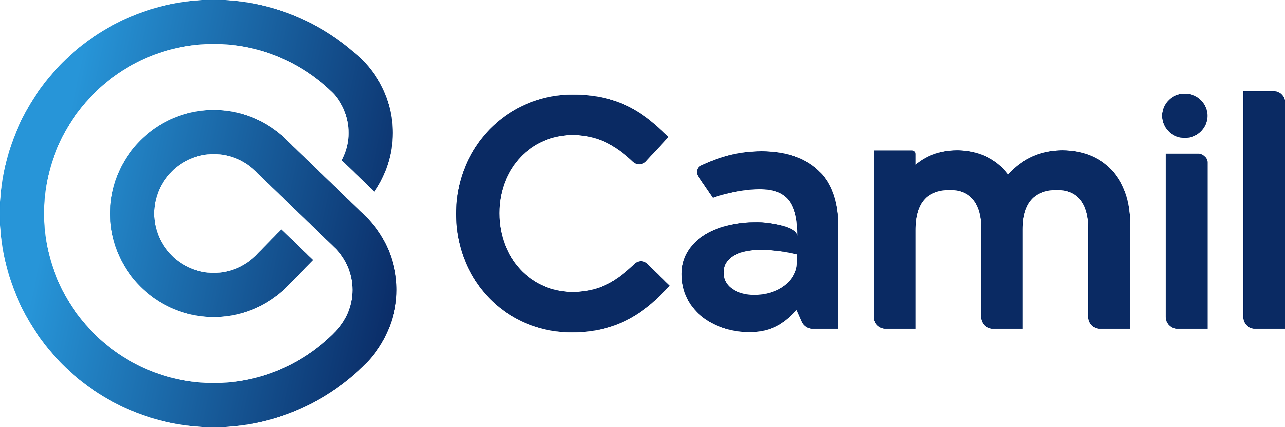 Camil Logo.