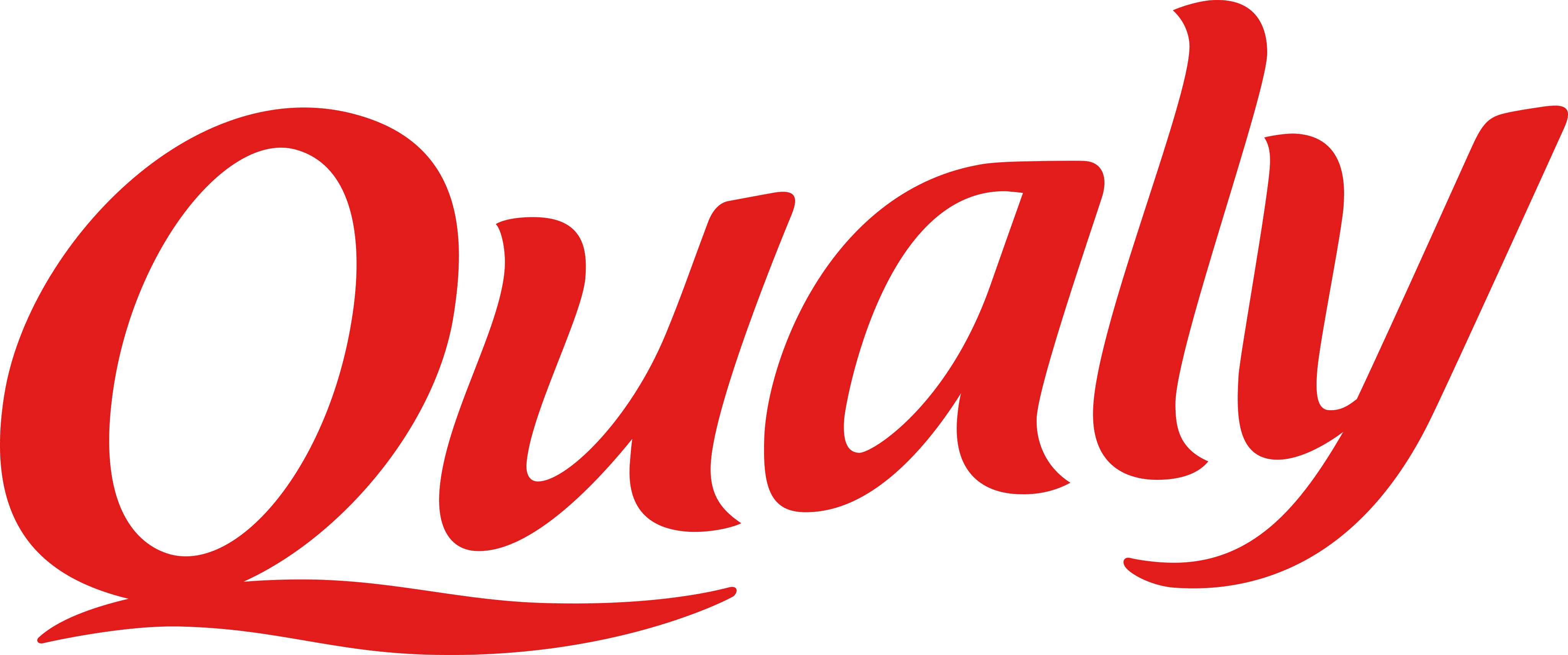 Qualy Logo.