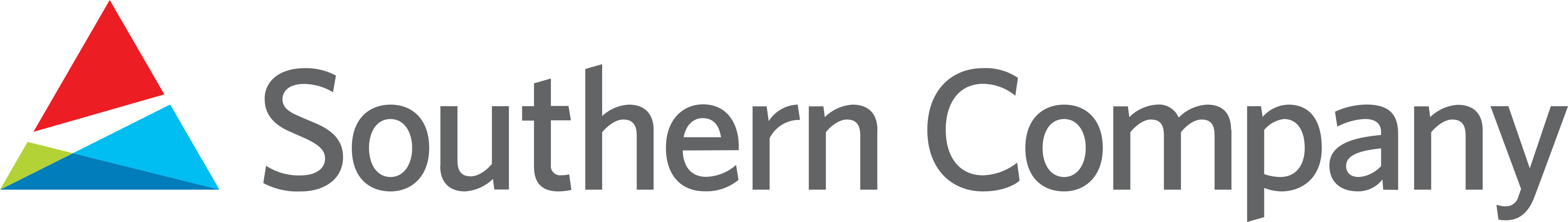Southern Company Logo.
